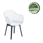 Chaises de salle à manger lot de 2, coque et pieds en plastique